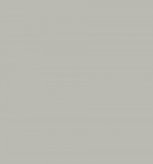 113 - SILVER GREY